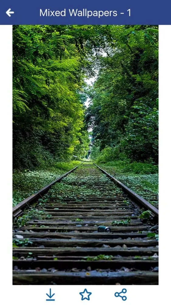 Capturas de tela do Mixed Wallpapers 4 Mobile