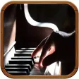 Solo Piano Radio Station