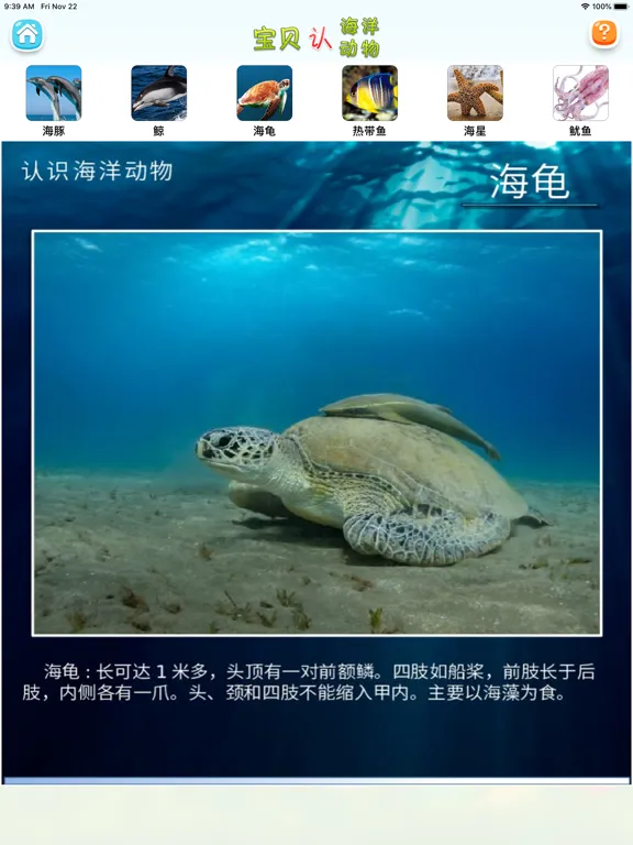 认海洋动物 iPad  Screenshots