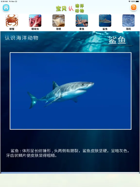 认海洋动物 iPad  Screenshots