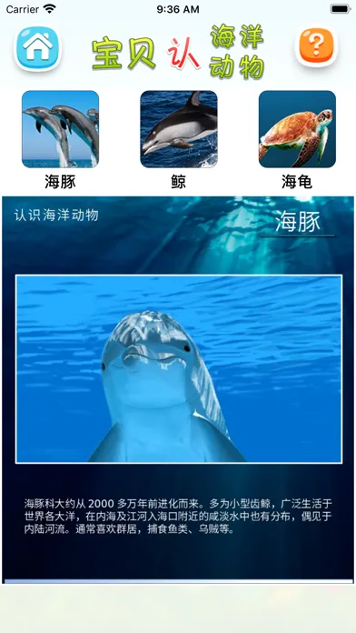 认海洋动物 Screenshots