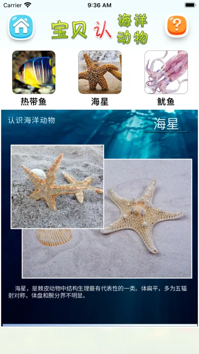 认海洋动物 Screenshots