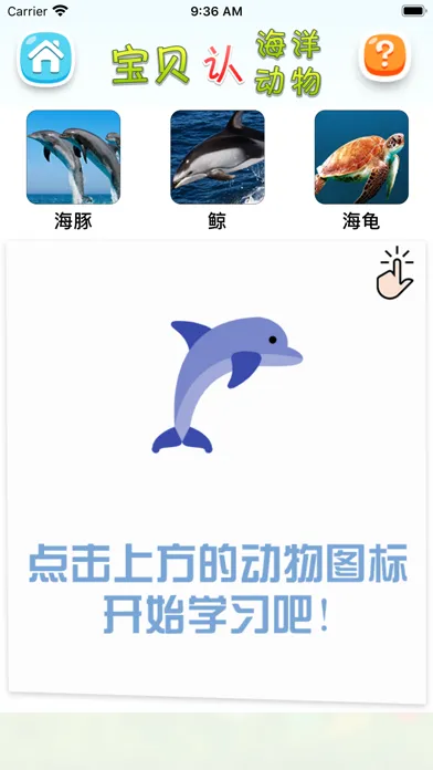 认海洋动物 Screenshots