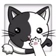 Coro The Cat