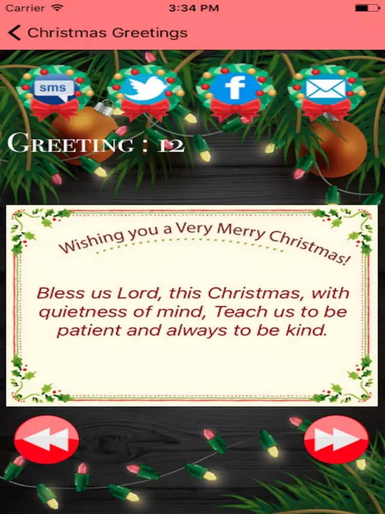2016 Holiday Greeting-New Year and Merry Christmas iPad  스크린샷