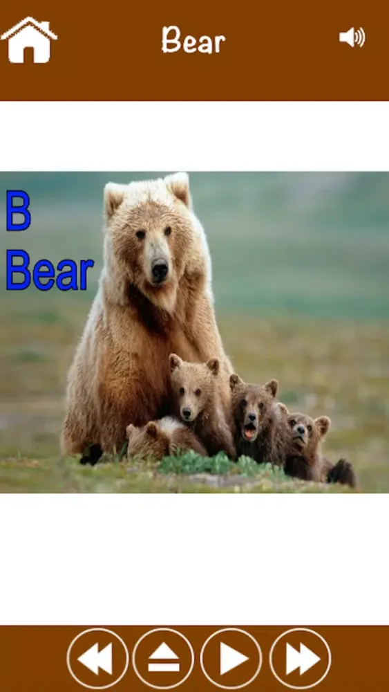 Baby ABC ZOO Splash Animals - Toddler's Preschool Educational Puzzles Games For Kids应用截图