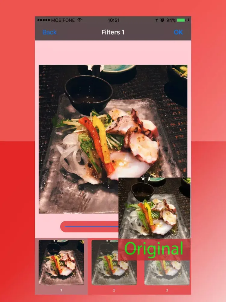 Red Camera - Light leaks & Filters for Food iPad Screenshots