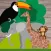 Kids Zoo Game