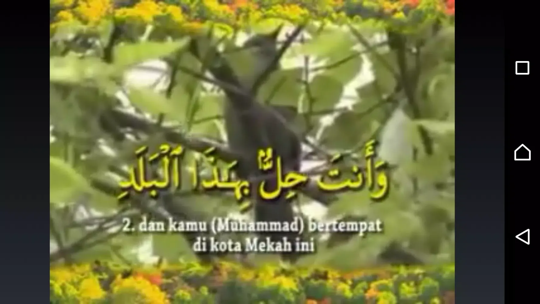 تصاویر Bacaan Murottal Anak