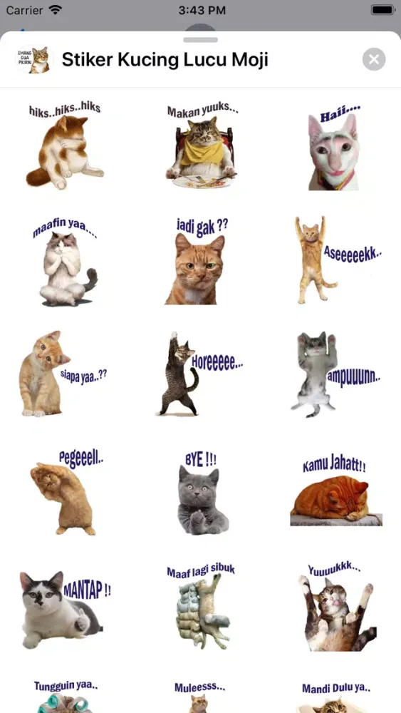 Tangkapan skrin Stiker Kucing Lucu Moji