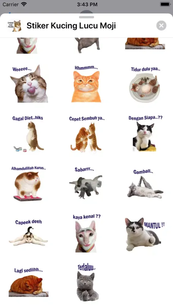 Tangkapan skrin Stiker Kucing Lucu Moji