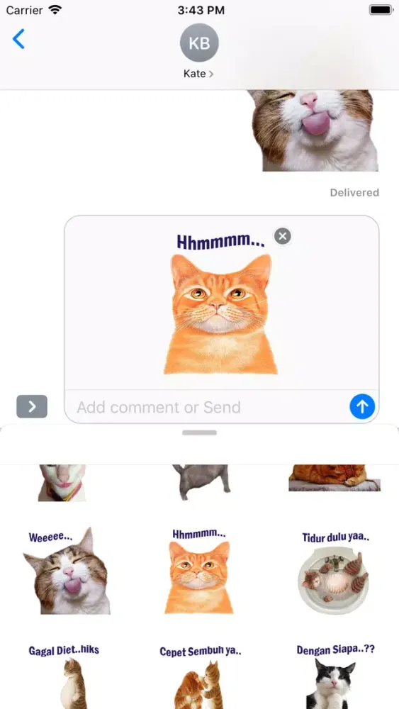 Tangkapan skrin Stiker Kucing Lucu Moji