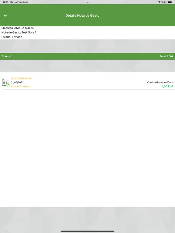 NZero Notas de Gasto iPad  স্ক্রিনশট