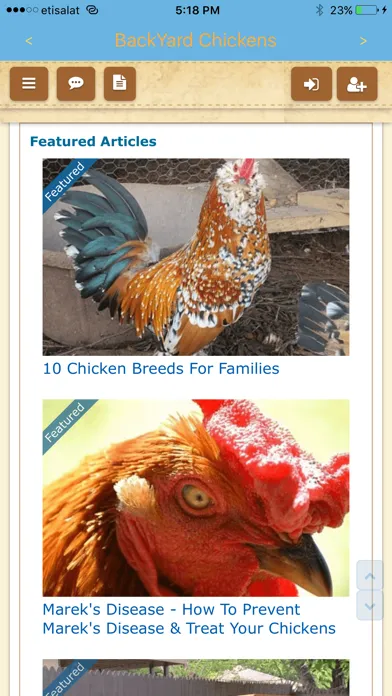 Backyard Chickens (BYC) Screenshots