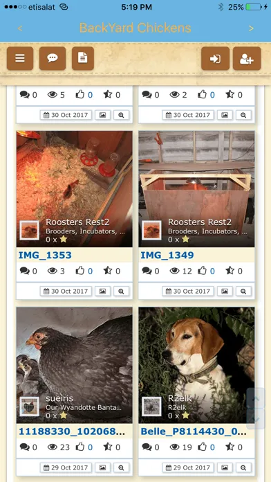 Backyard Chickens (BYC) Screenshots