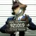 The bad guys: wolf gameplay