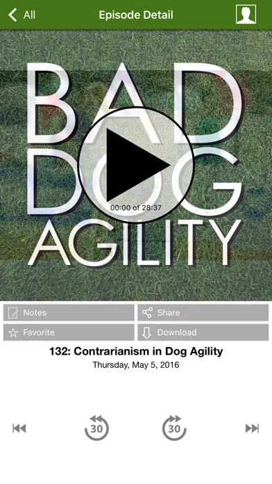 تصاویر Bad Dog Agility