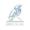 Birds Of UAE