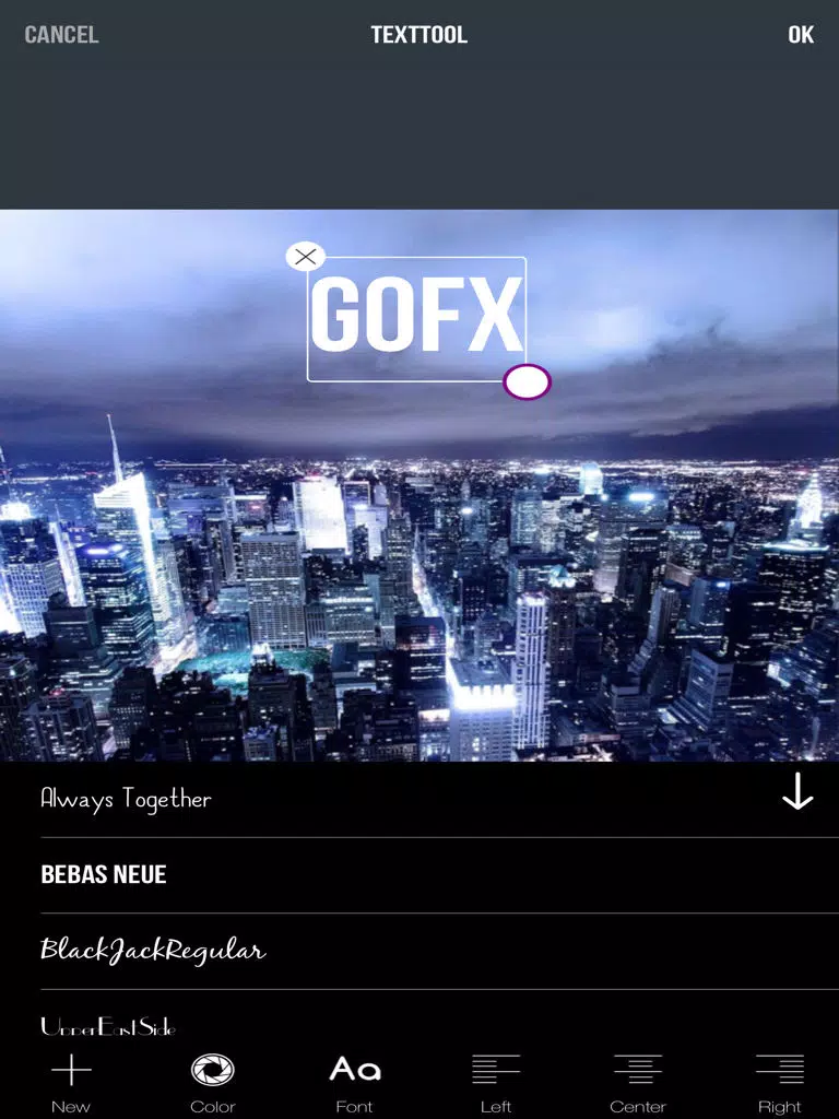 GoFX : Photo Editor iPad 应用截图