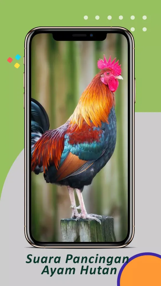 ภาพหน้าจอของ Suara Pancingan Ayam Hutan