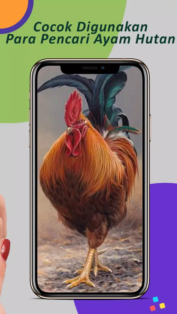 ภาพหน้าจอของ Suara Pancingan Ayam Hutan