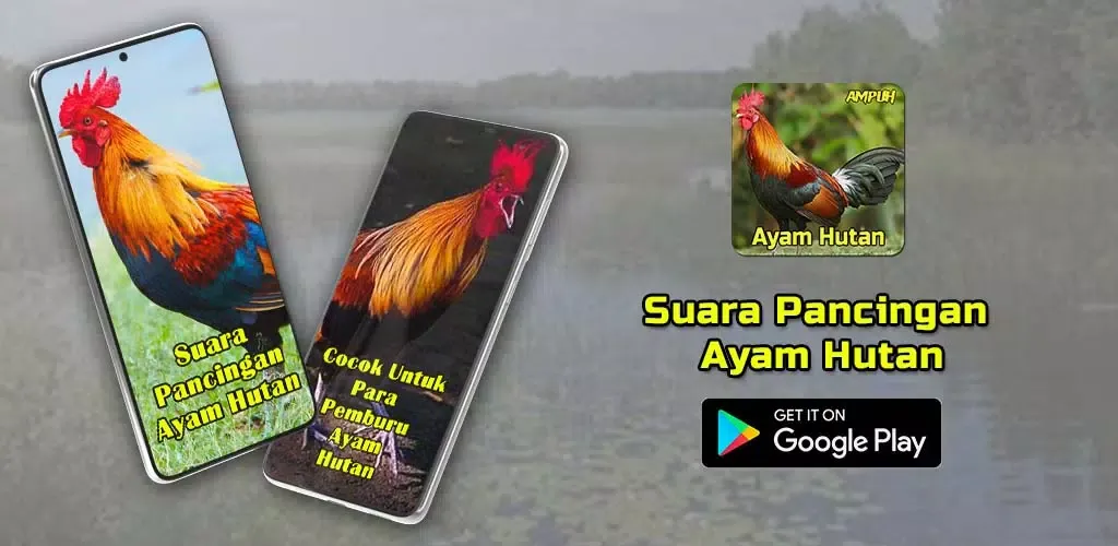 ภาพหน้าจอของ Suara Pancingan Ayam Hutan