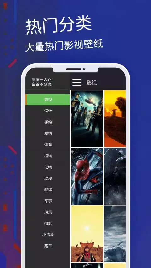 主题应用截图