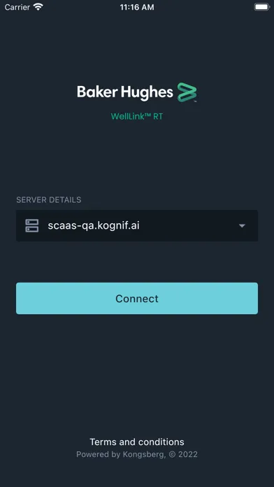 WellLink RT Mobile - QA スクリーンショット