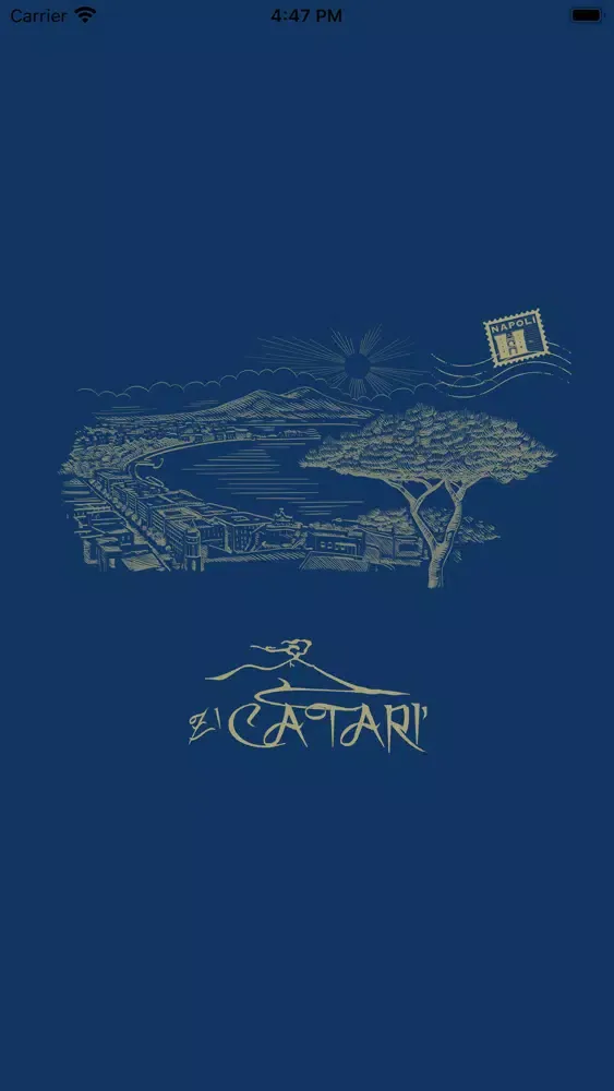 Zi Catari' Ekran Görüntüleri