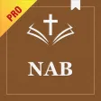 New American Bible Audio Pro