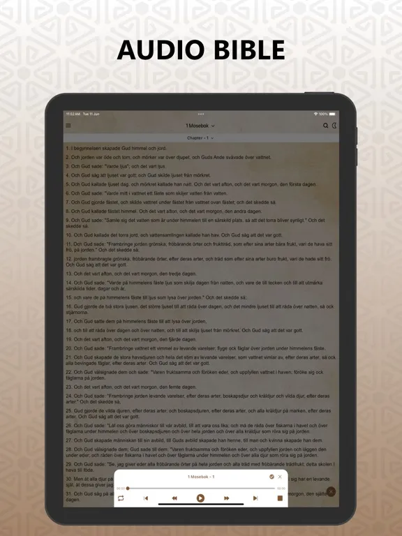 Capturas de pantalla de Swedish Bible, Svenska Pro iPad 