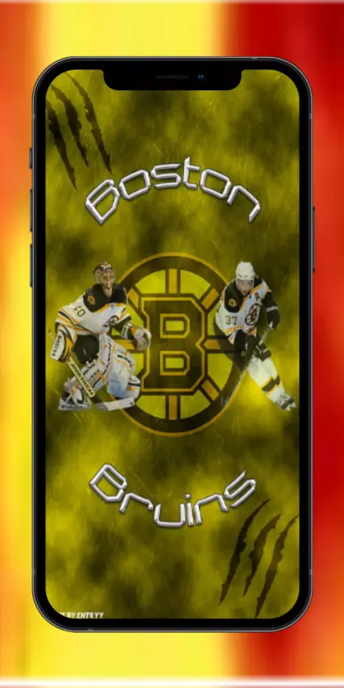 Boston Bruins Pics Screenshots