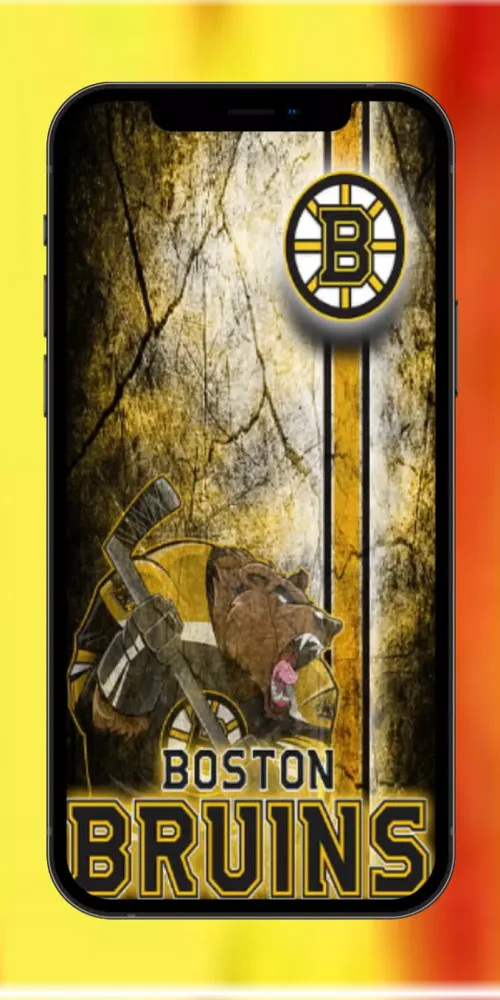 Boston Bruins Pics Screenshots