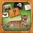 Animals Match Card Game