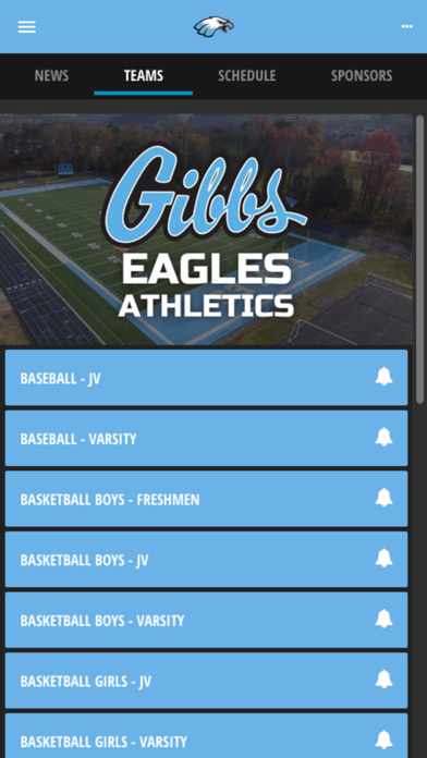 Screenshot di Gibbs Eagles