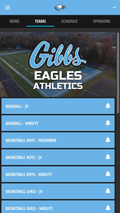 Screenshot di Gibbs Eagles
