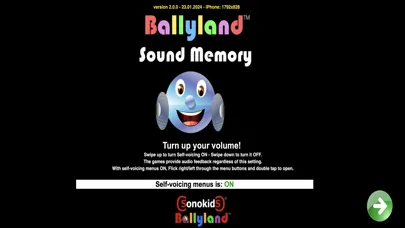 Captures d'écran de Ballyland Sound Memory