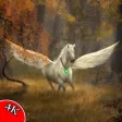 Horse Wallpapers HD 4K