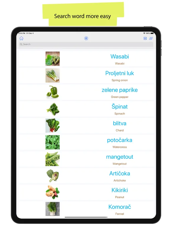 Croatian 90.000 Words&Pictures iPad  Screenshots