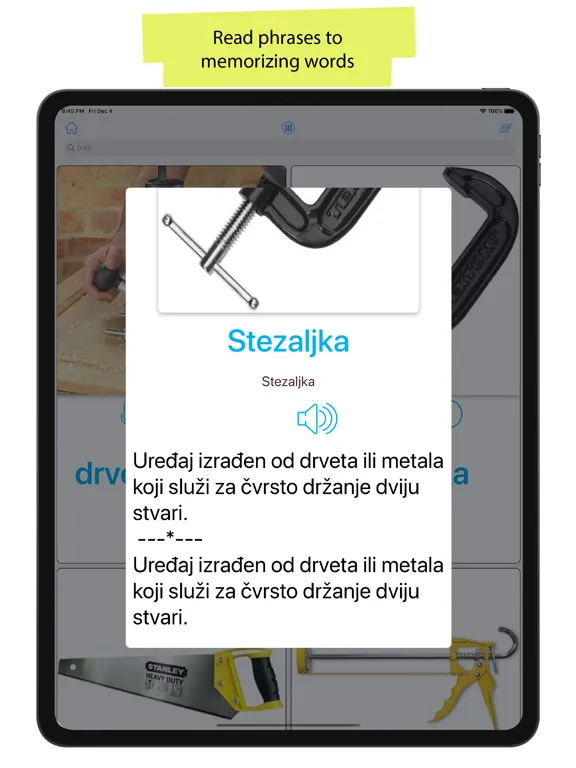 Croatian 90.000 Words&Pictures iPad  Screenshots