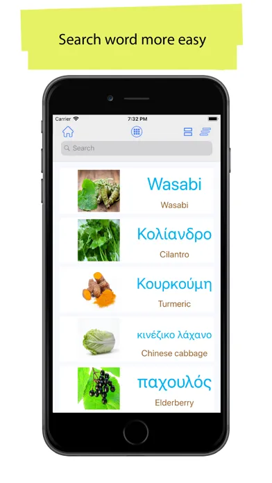 Capturas de pantalla de Greek 90.000 Words & Pictures