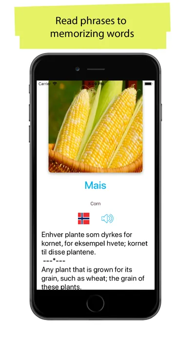 Norwegian 90000 Words&Pictures Screenshots