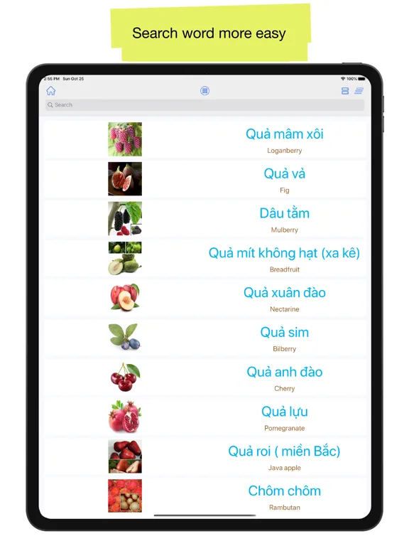 Zrzuty ekranu Vietnamese 90000 WordsPictures iPad 