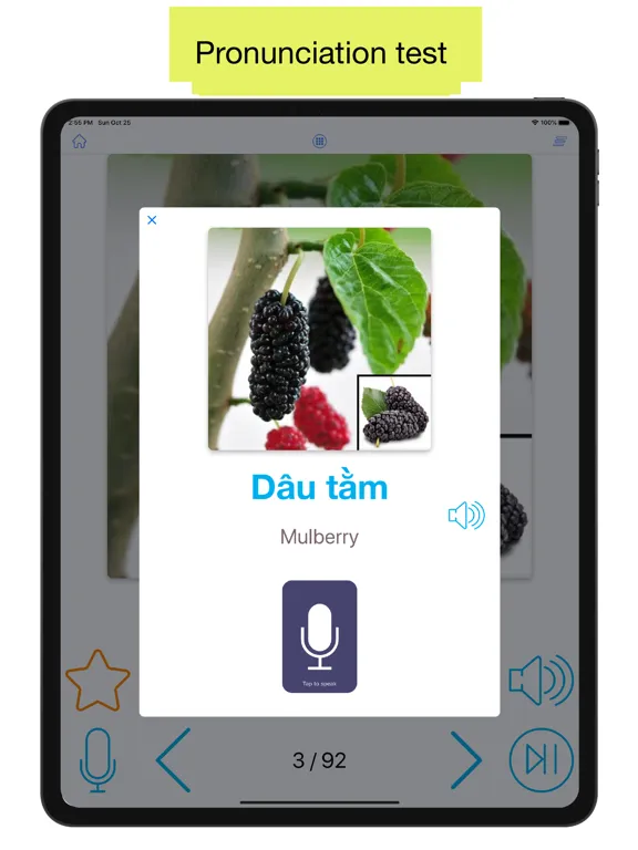 Zrzuty ekranu Vietnamese 90000 WordsPictures iPad 