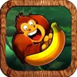 Banana Monkey King Banana Monkey King