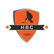 Bandy Haarlem