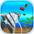CAPSULE FISH