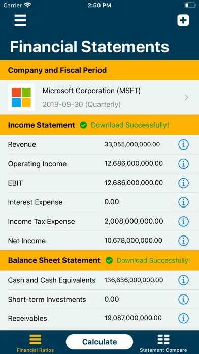 Financial Ratios Go: Analysis Screenshots