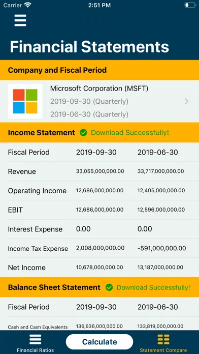 Financial Ratios Go: Analysis Screenshots