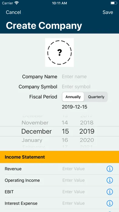 Financial Ratios Go: Analysis Screenshots